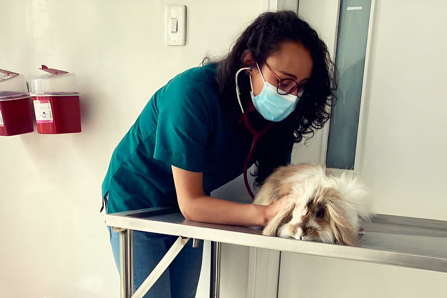 CONSULTA VETERINARIO EXÓTICOS