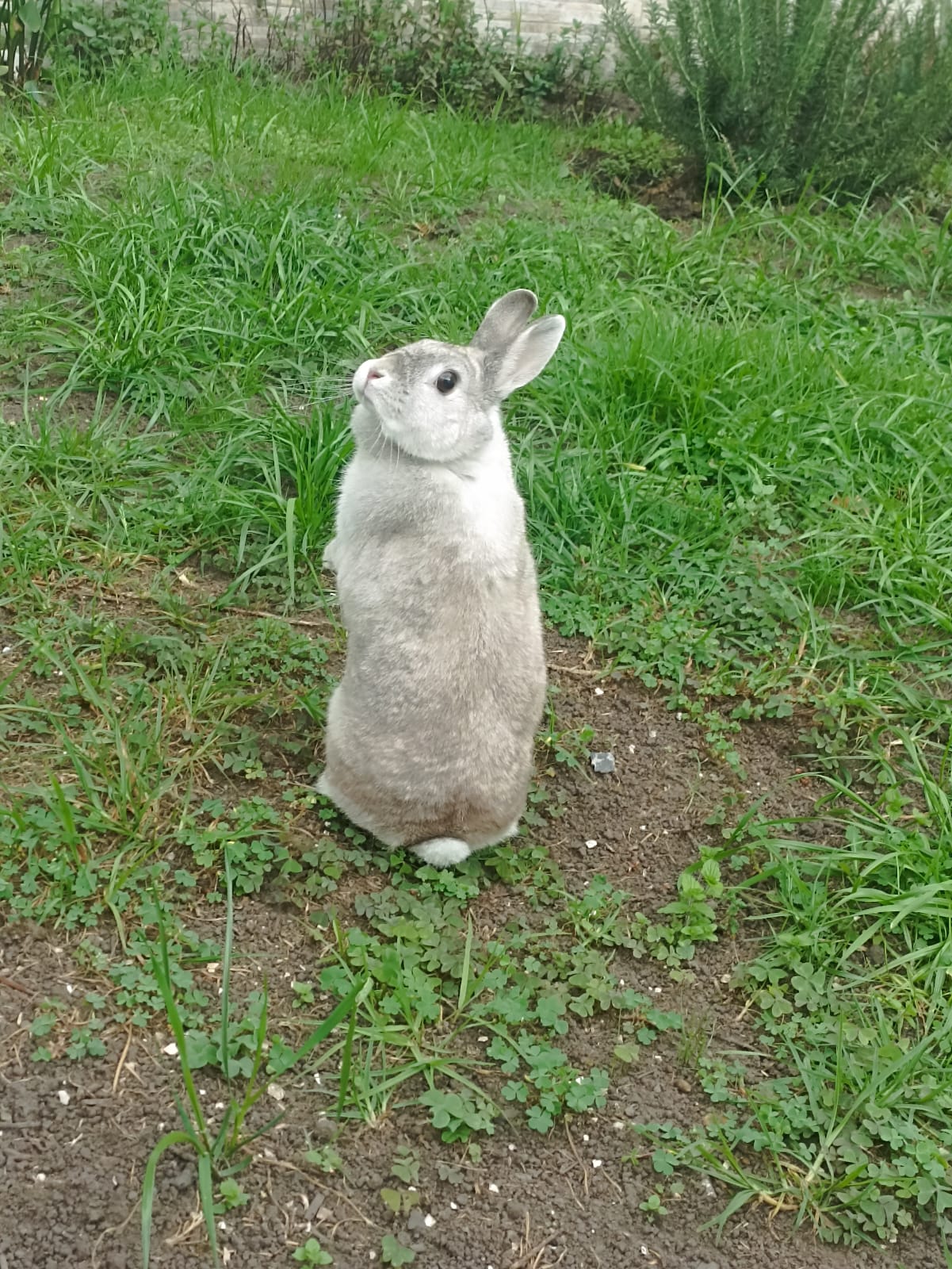 GUARDERÍA MASCOTAS EXÓTICAS