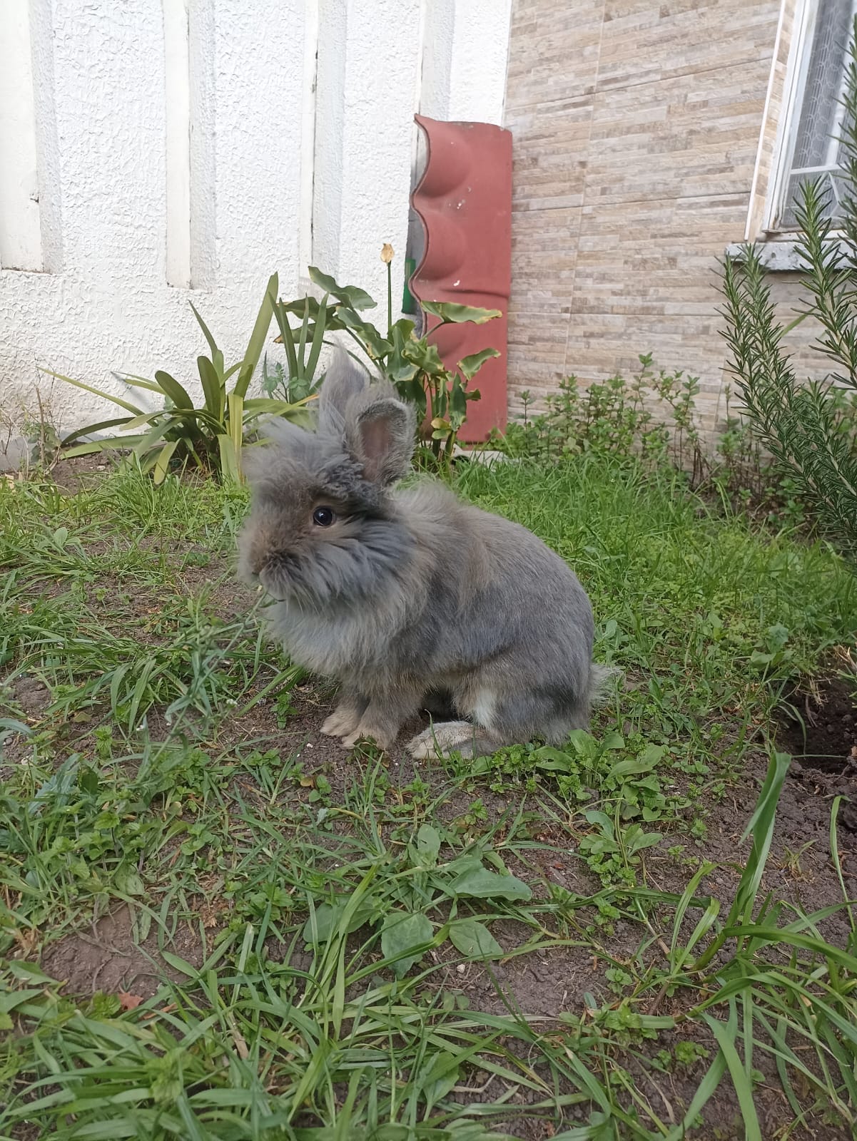 GUARDERÍA MASCOTAS EXÓTICAS