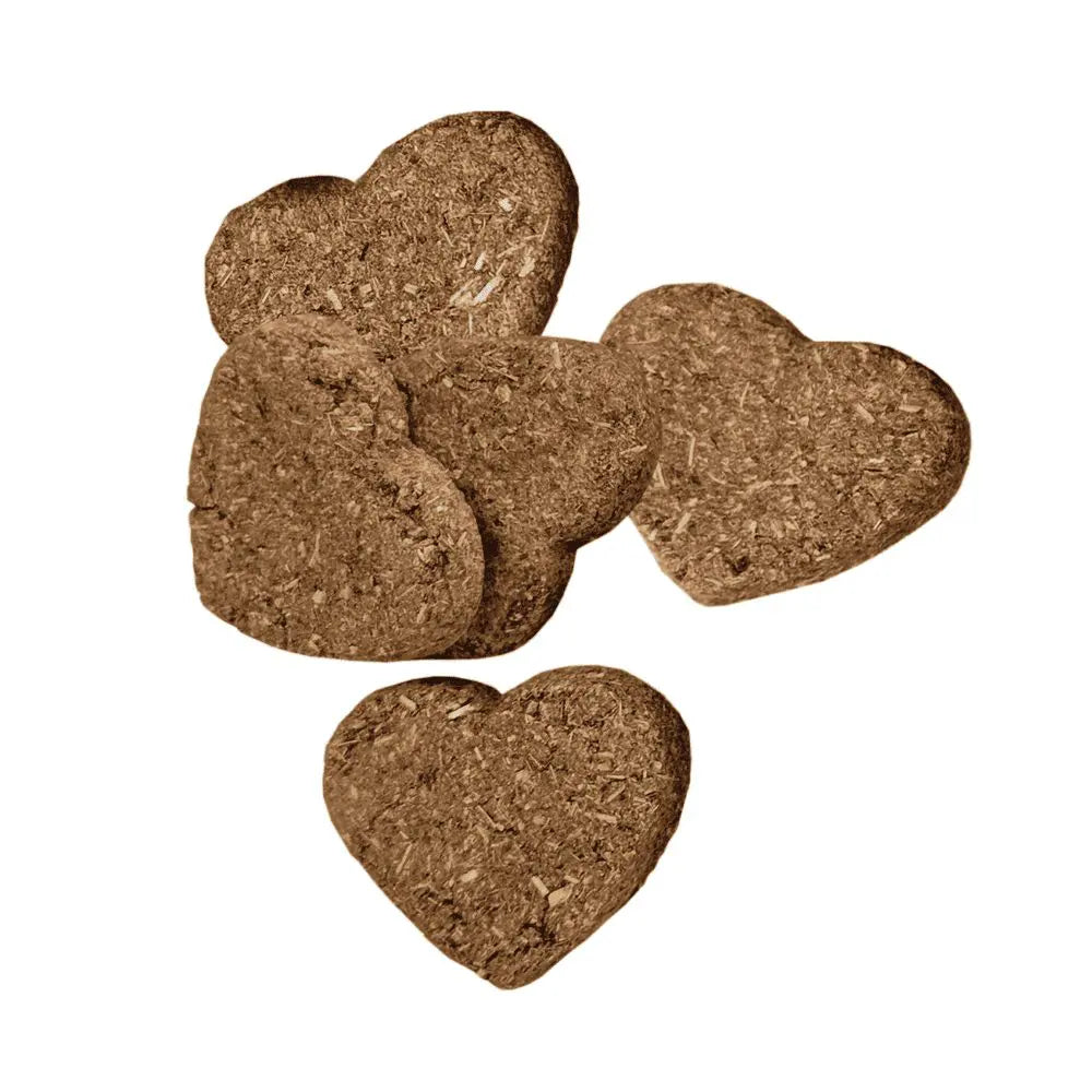Galletas oxbow para conejos y roedores